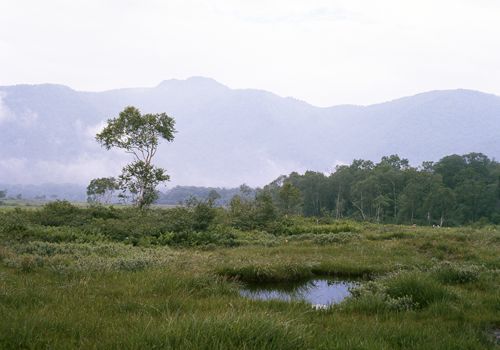No.21 view of Ozegahara marsh 2