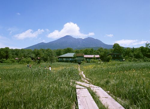 こんな日は昼寝にかぎる