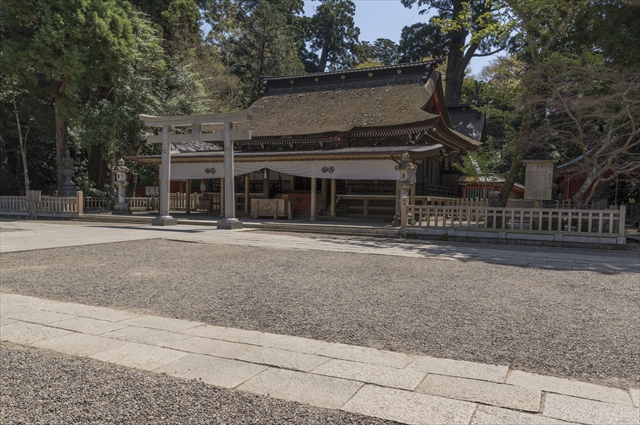 14 鹿島神宮本社殿(1) 前庭から本社殿
